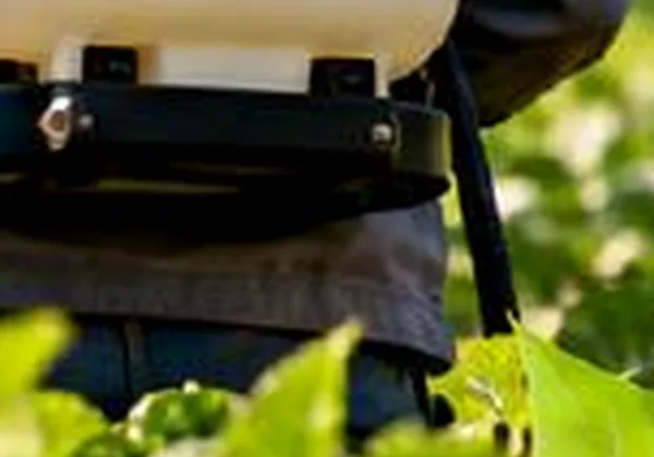 Tierra negra para plantas